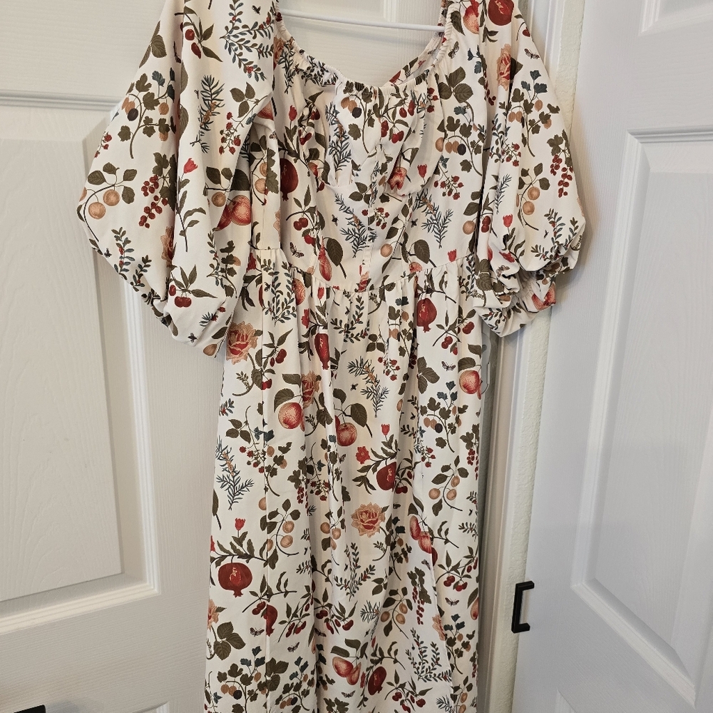 Cider Cream and Red Puff Sleeve Sundress